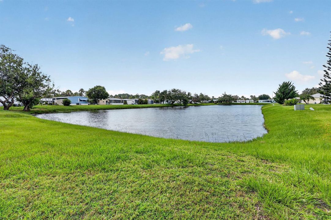 32-web-or-mls-5P1A0349