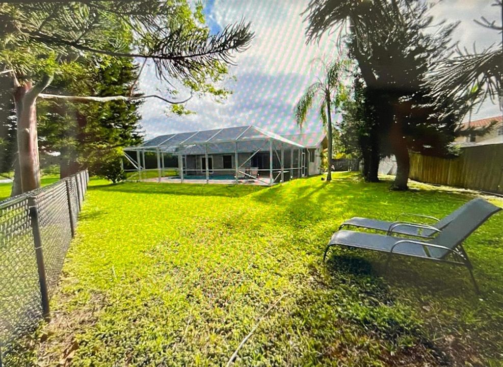 backyard 2