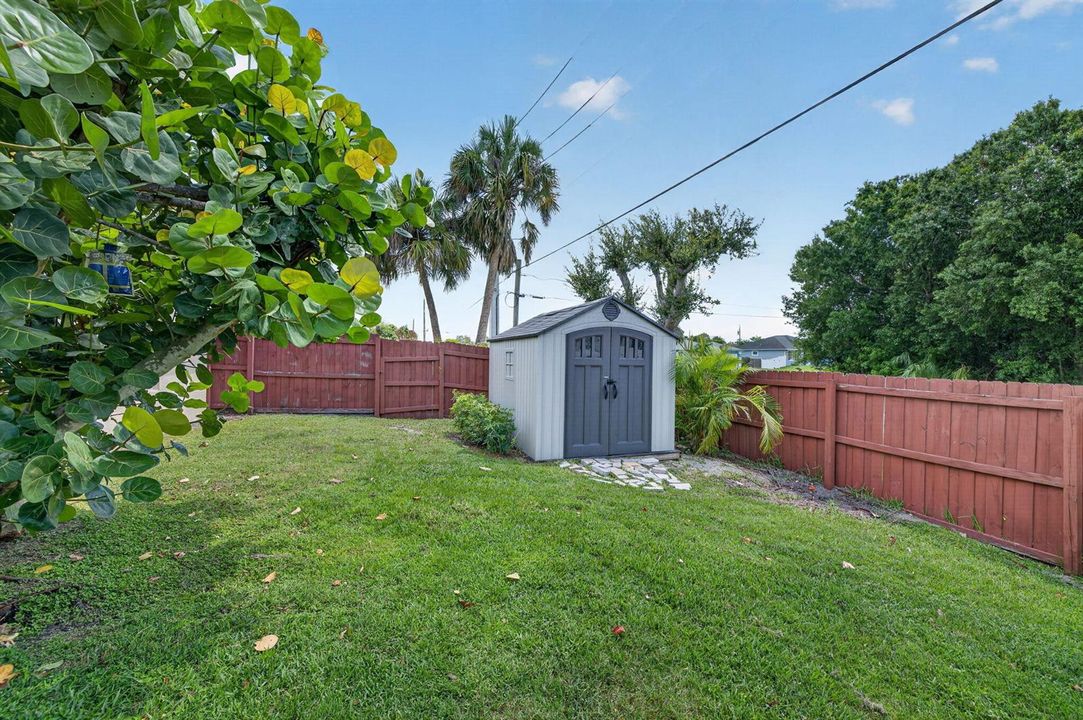 Backyard