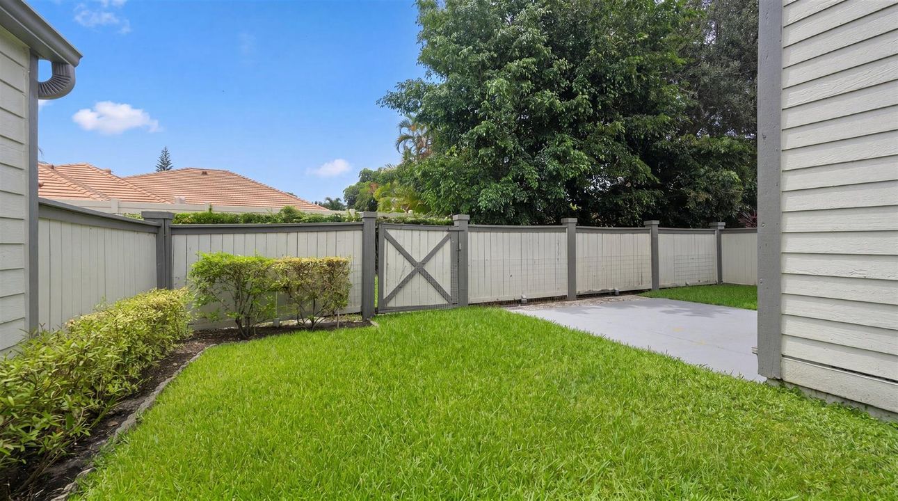 Backyard 2