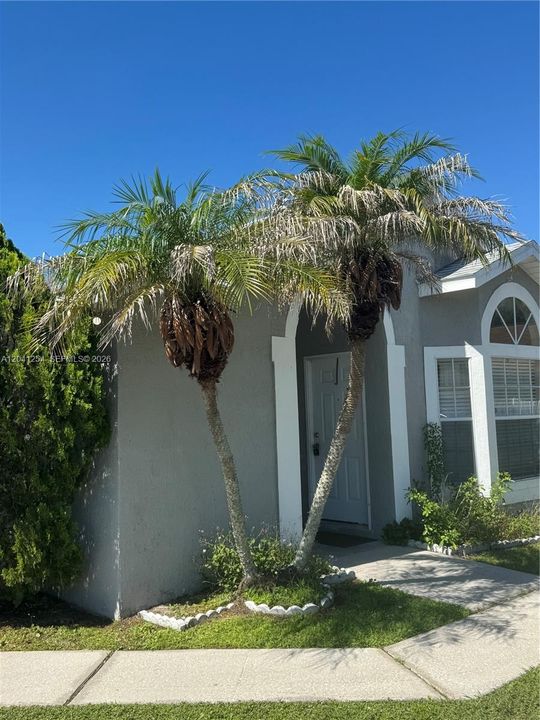 For Rent: $1,800 (3 beds, 2 baths, 0 Square Feet)