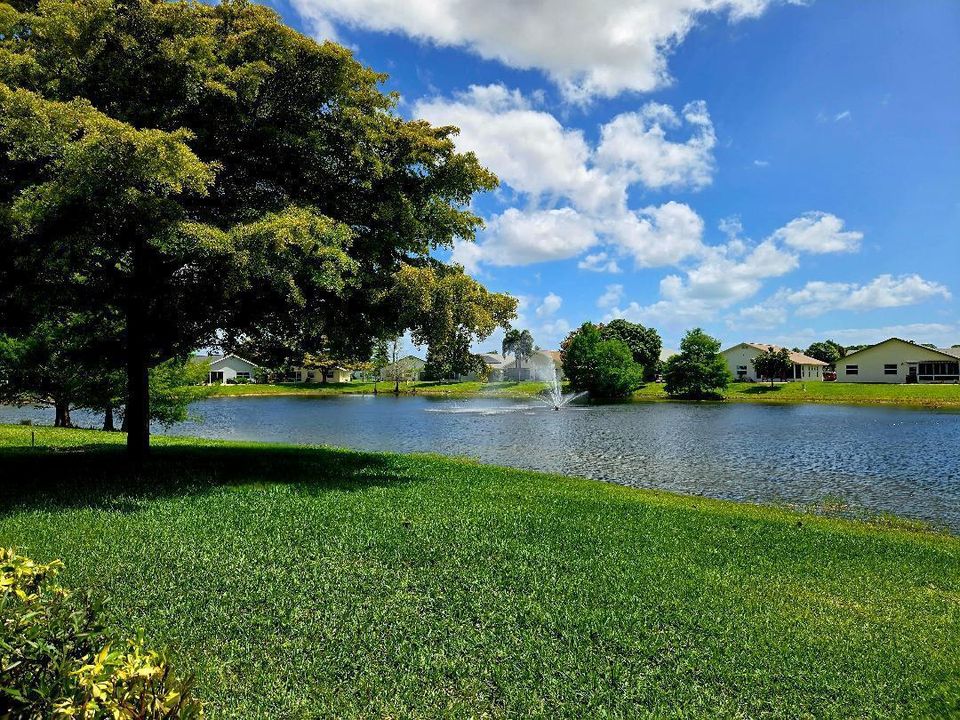 Lake View