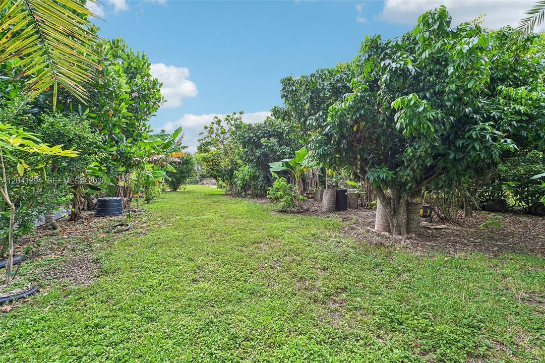 En Venta: $979,000 (4 camas, 2 baños, 1834 Pies cuadrados)