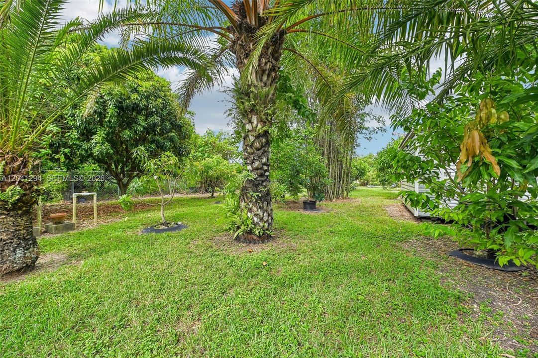 En Venta: $979,000 (4 camas, 2 baños, 1834 Pies cuadrados)