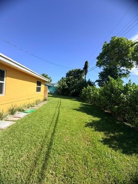 backyard4