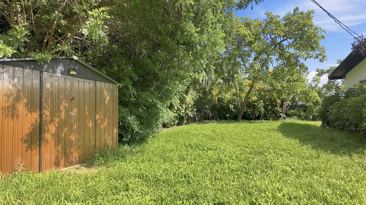 Backyard