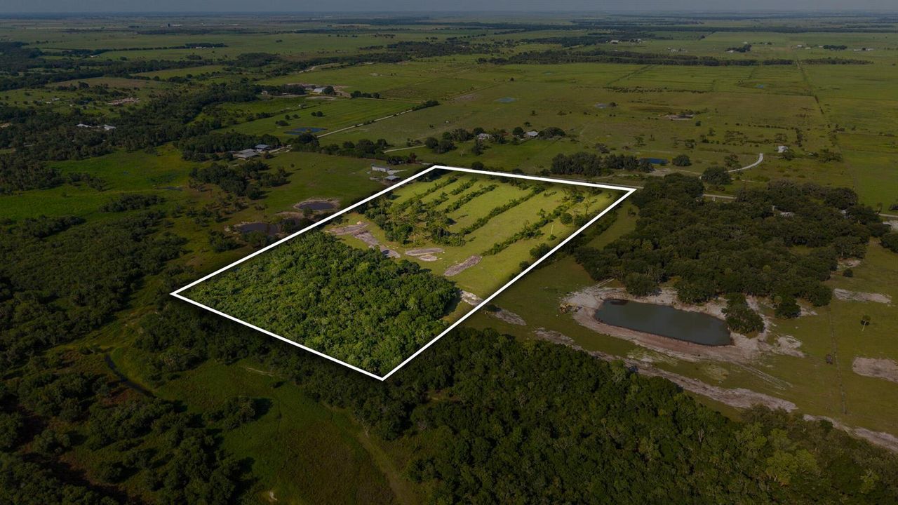 Bass DRONES-6_PL