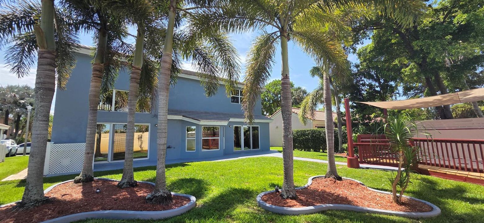 Large Backyard