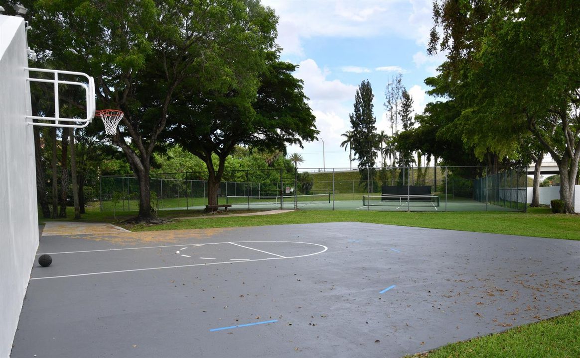 Basketball Court