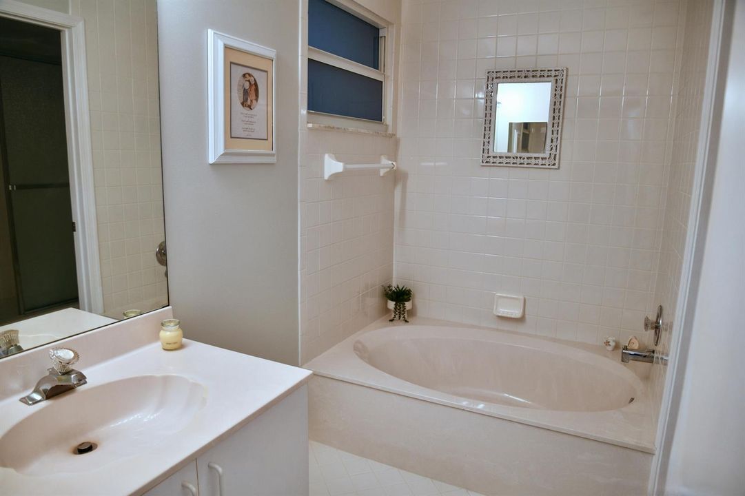 Primary Bath Tub Area