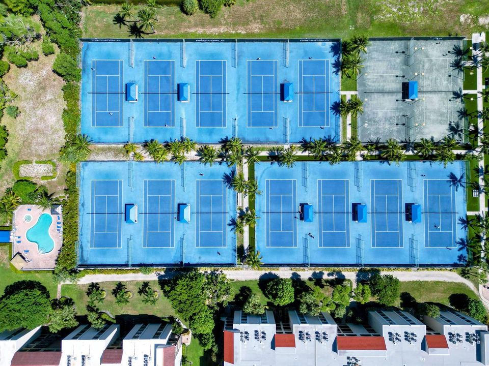 Pool Tennis Pickleball Above