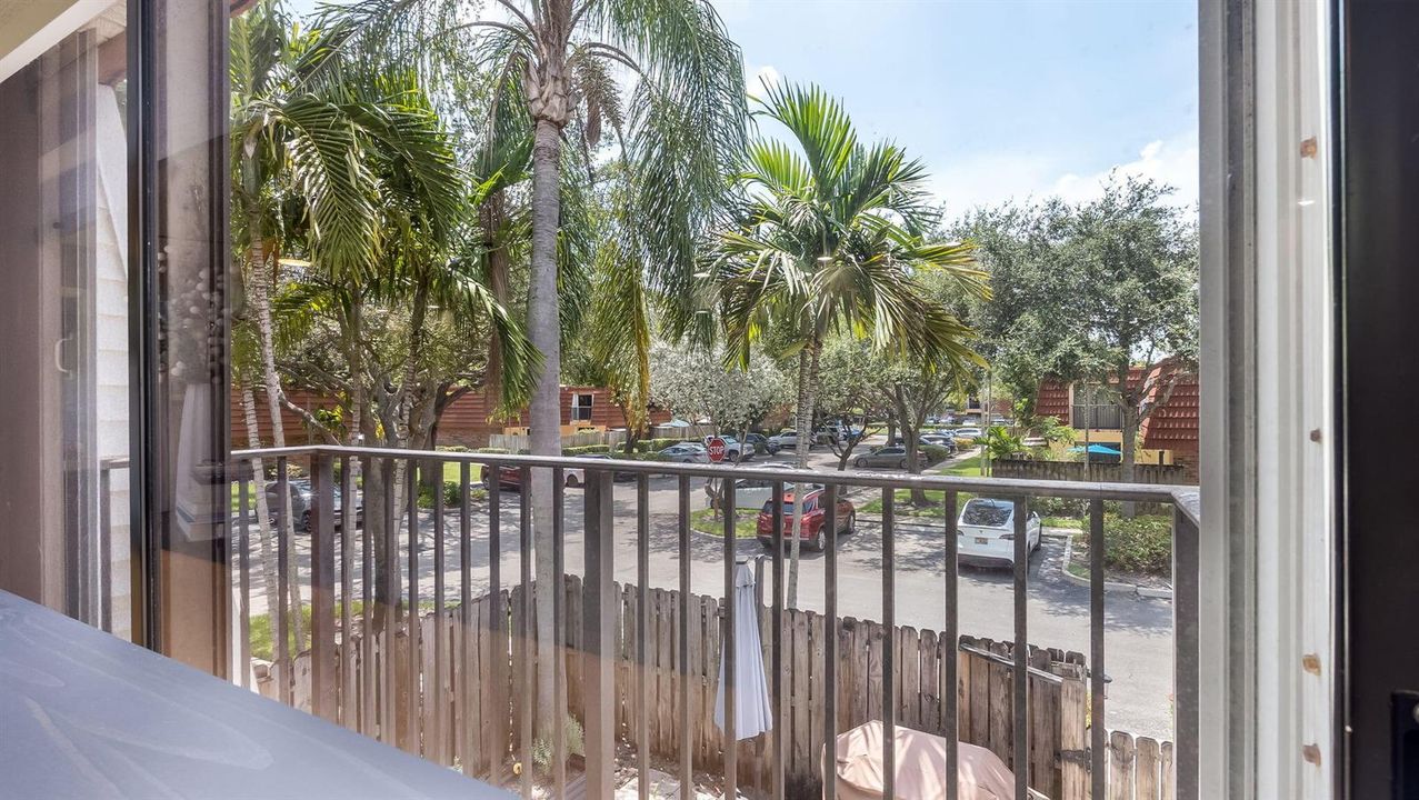36-web-or-mls-DSC03657