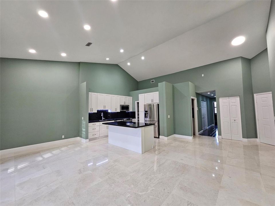 Living Room/Dining Room/Kitchen