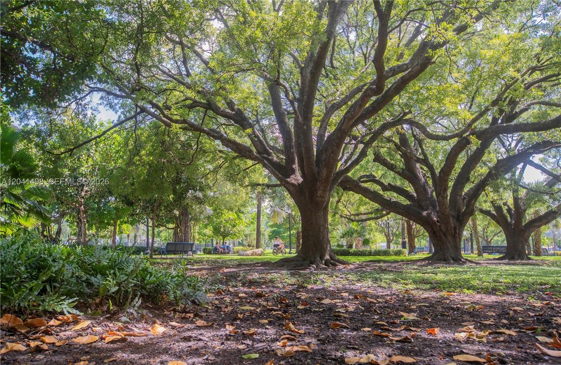 For Rent: $2,600 (2 beds, 1 baths, 696 Square Feet)