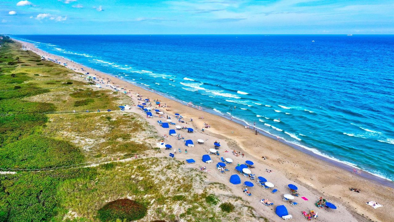 Delray's Pristine Beach