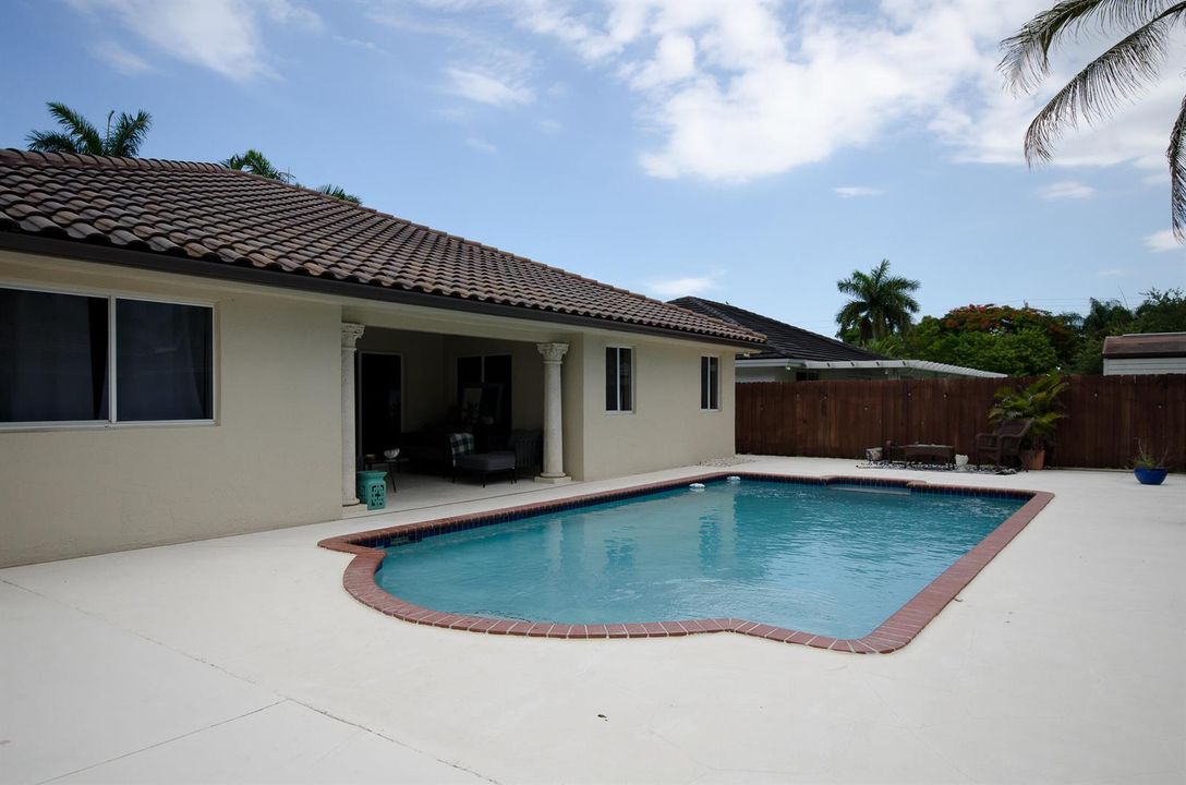 backyard 1