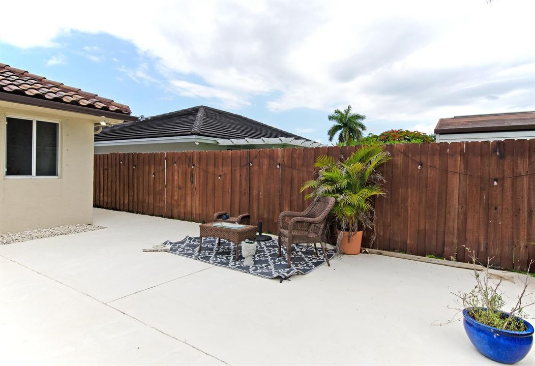 backyard 3
