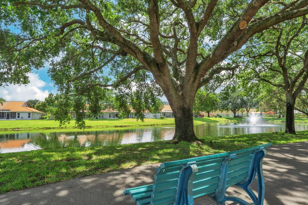 25 Lake view