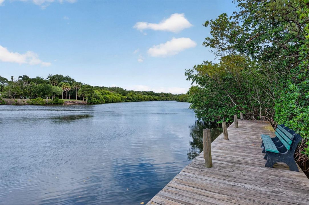 Common Dock