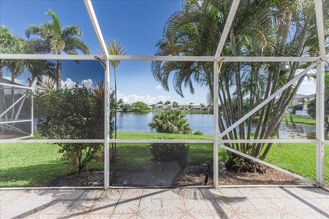 View from Patio