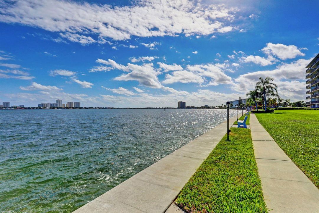 45-web-or-mls-48-print-51-print-56-print