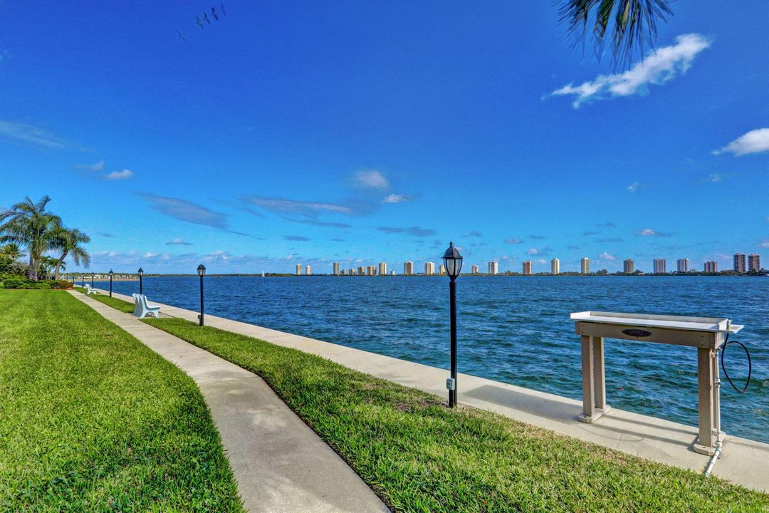 46-web-or-mls-49-print-52-print-57-print