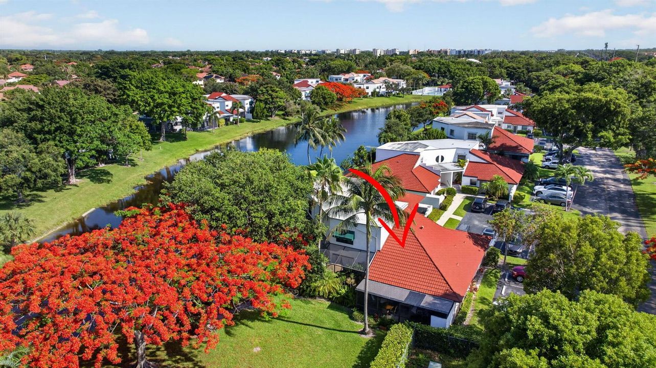 Aerial View of Home & Backyard