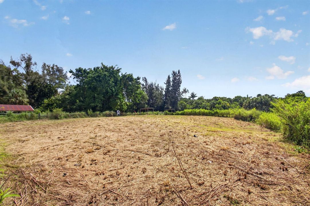 Cleared Area