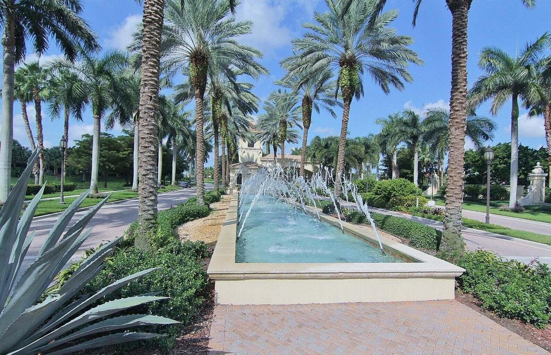 Welcome to Paradise