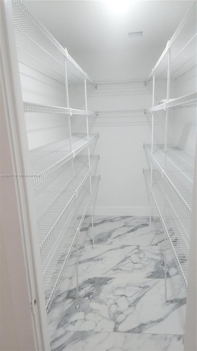Large  Hallway walk in closet