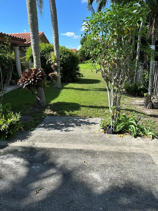Fernandez backyard 2