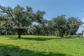 En Venta: $1,500,000 (8.20 acres)