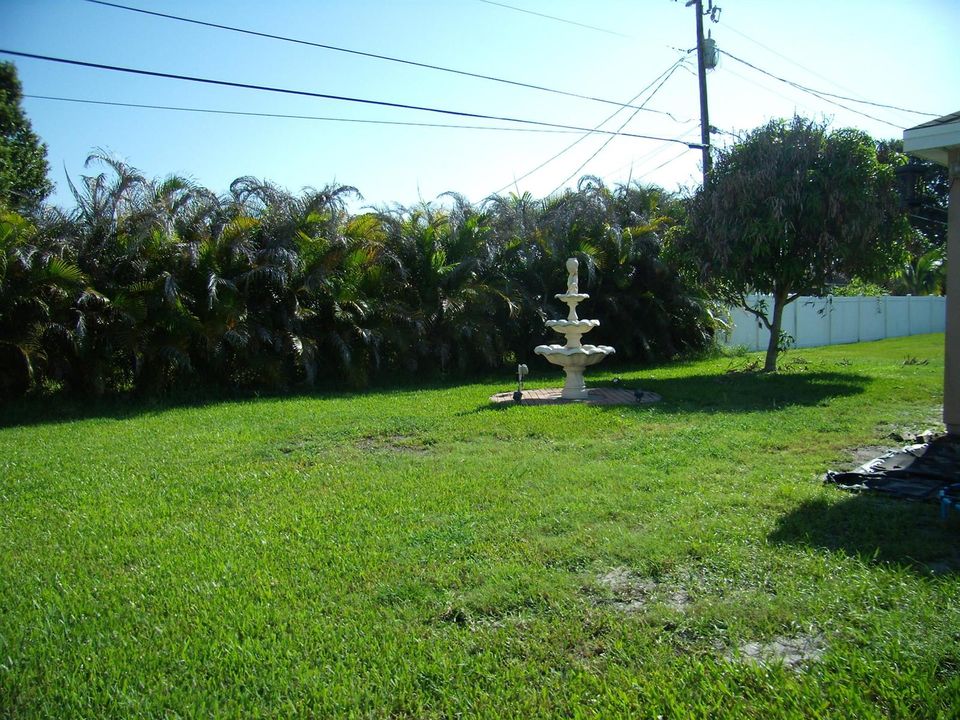 backyard