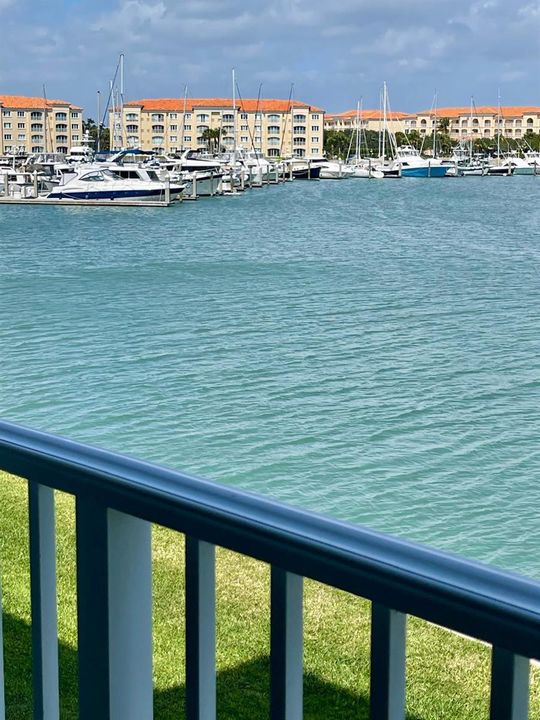 Marina View
