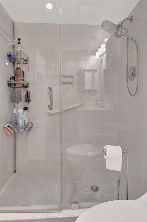 Primary Shower