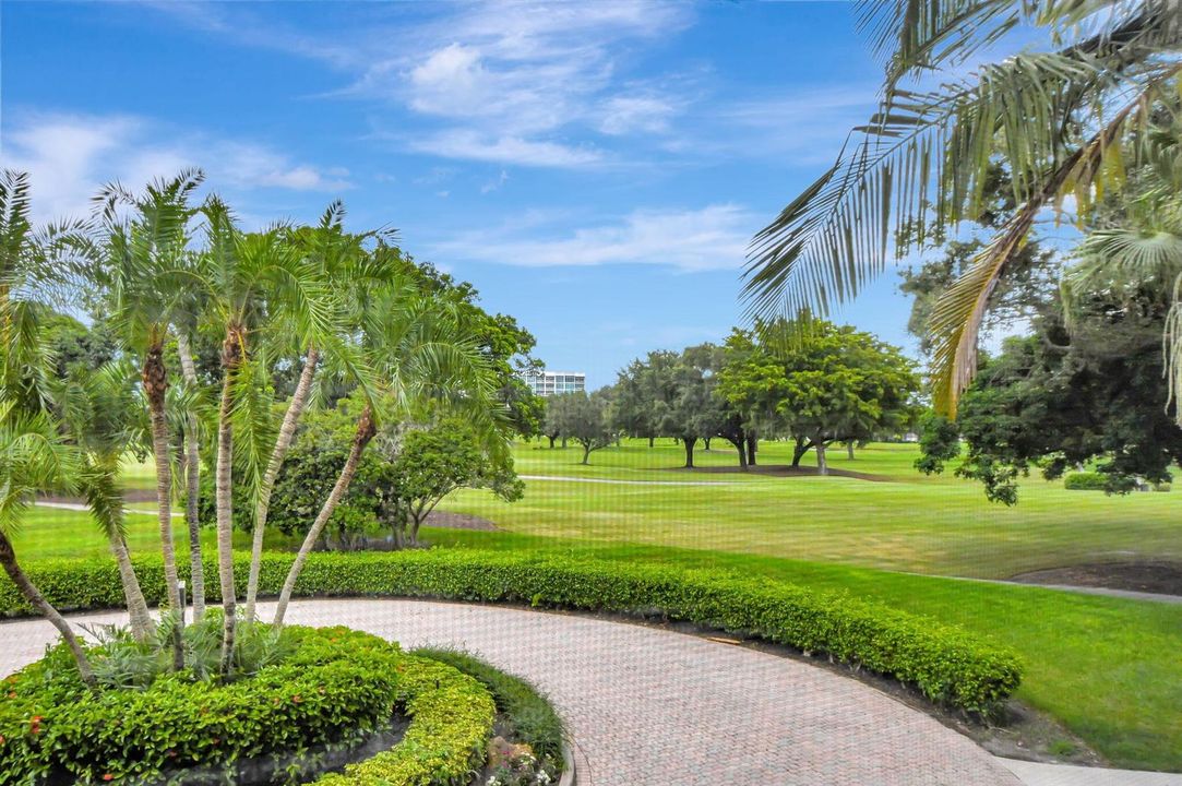 View from patio
