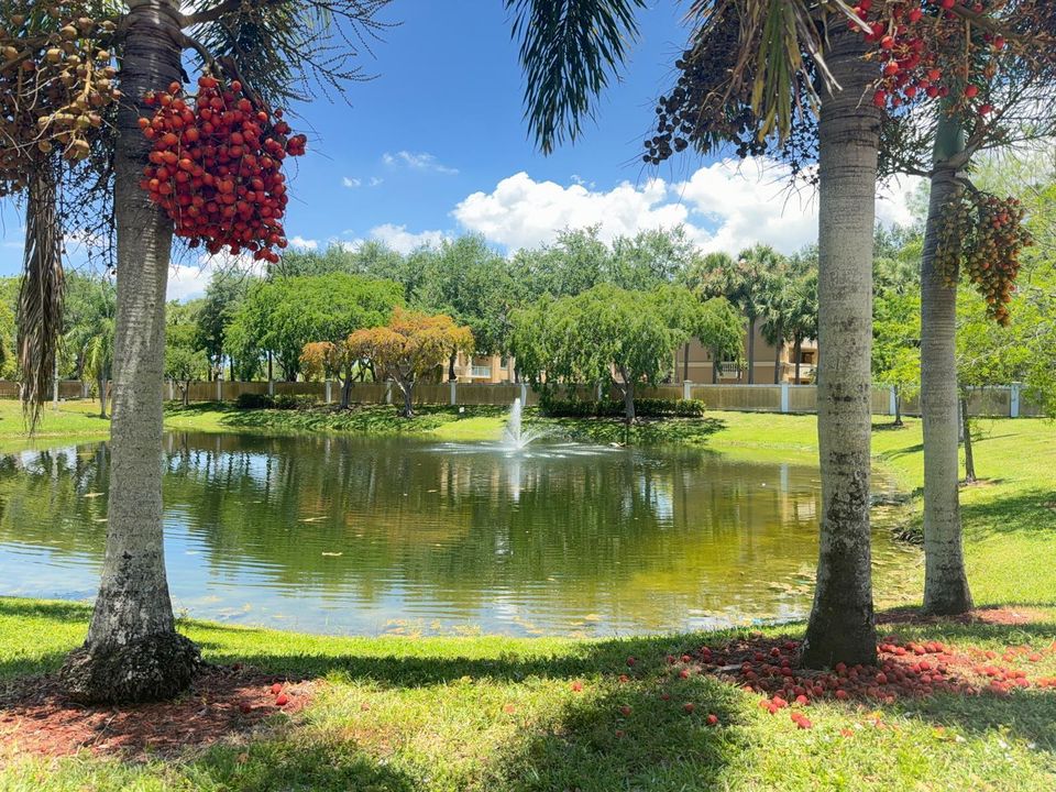 sorrento lake view pic