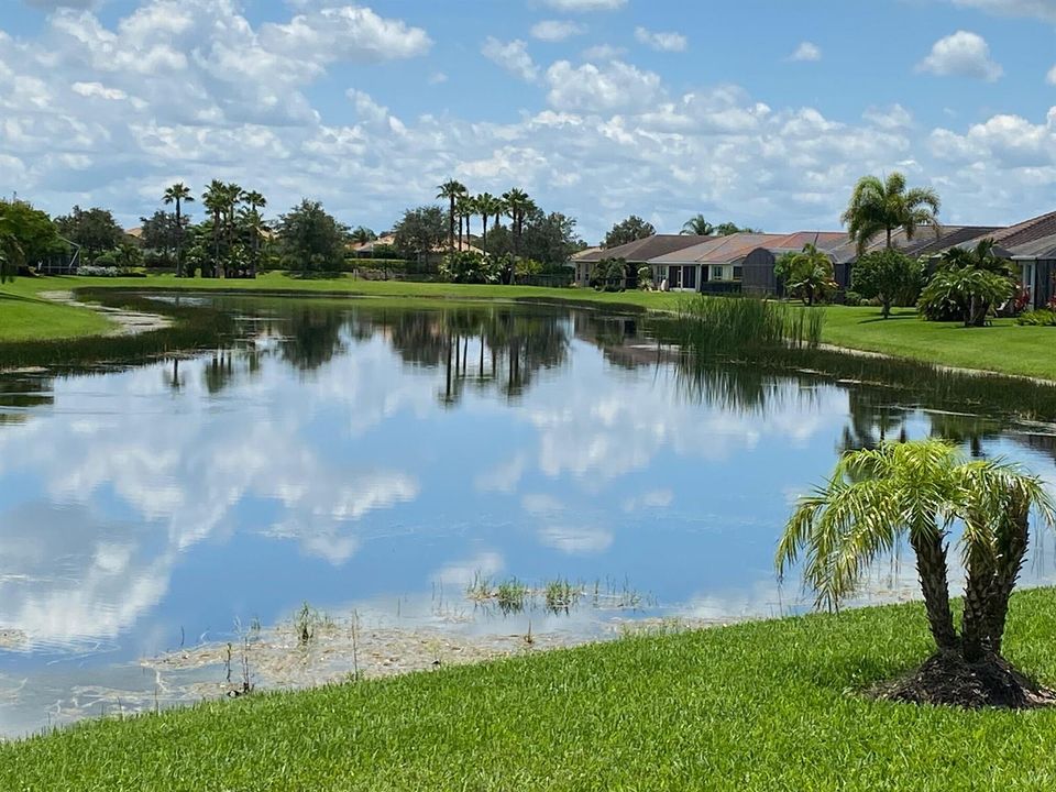 lake