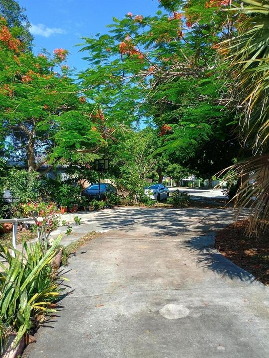 CIRCULAR DRIVEWAY