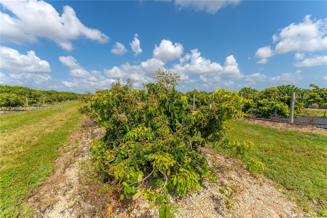 For Sale: $1,050,000 (7.46 acres)