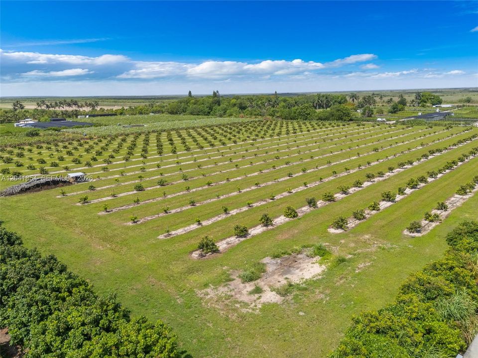For Sale: $1,050,000 (7.46 acres)