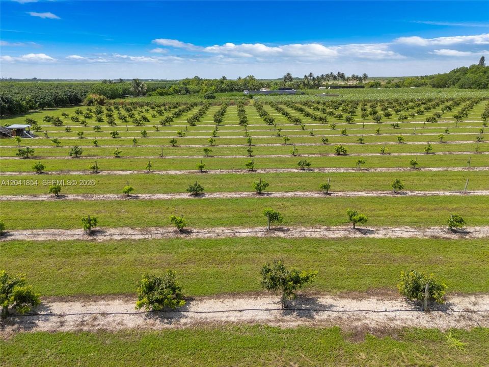 For Sale: $1,050,000 (7.46 acres)