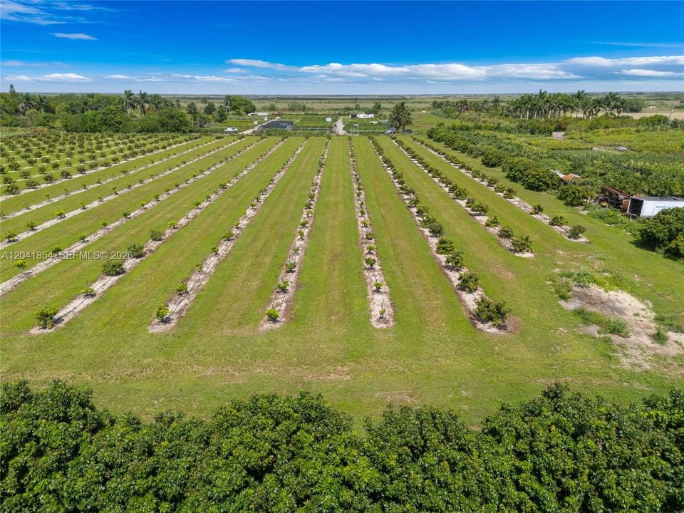 For Sale: $1,050,000 (7.46 acres)