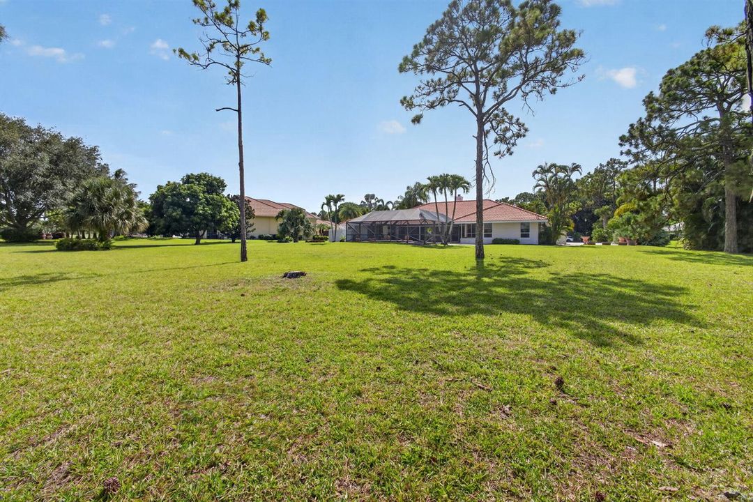 82-web-or-mls-5D1A5547