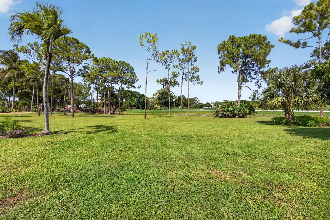 75-web-or-mls-5D1A5513
