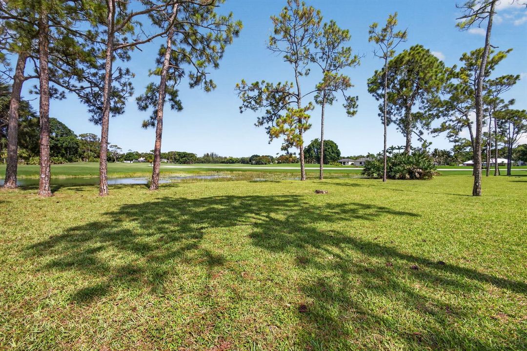 80-web-or-mls-5D1A5540