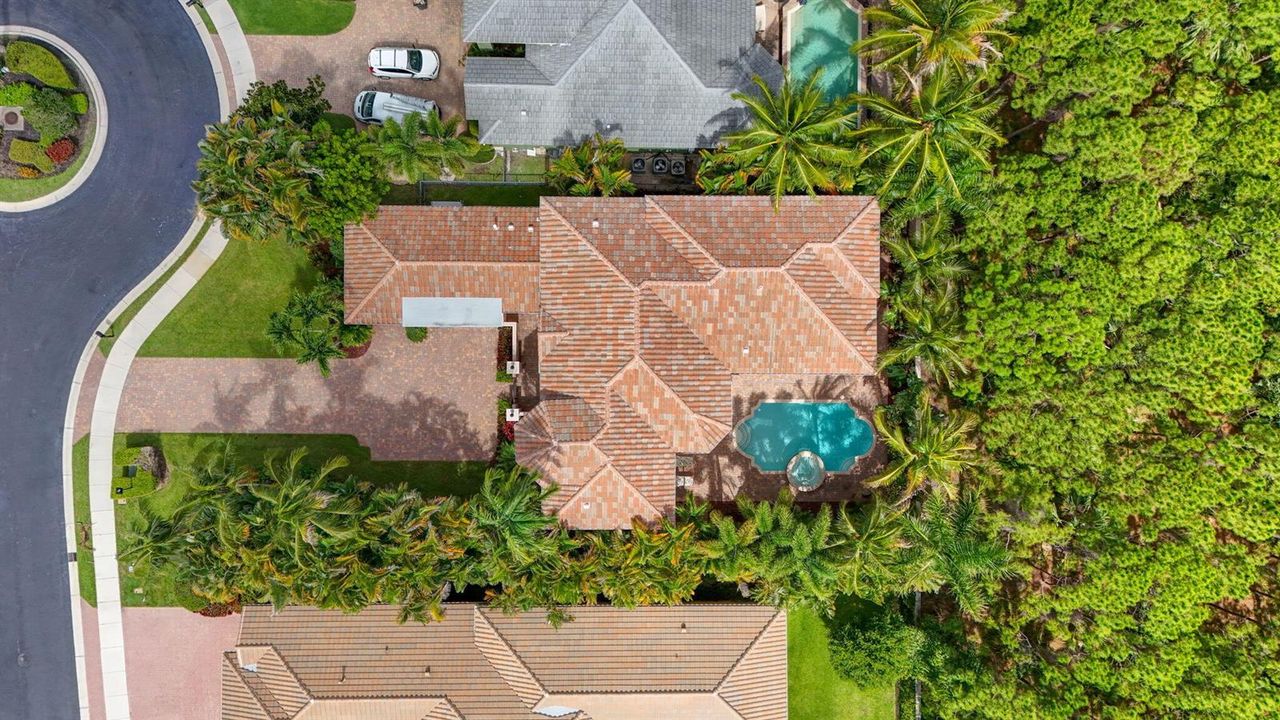 Roof 2023