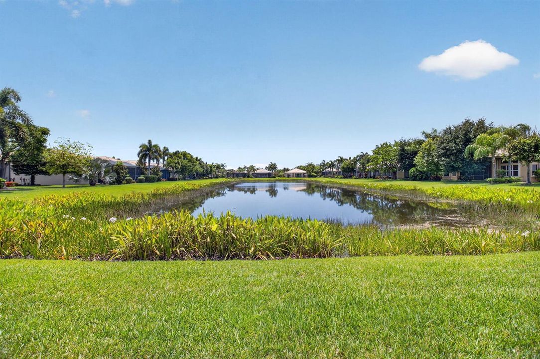 Lake View