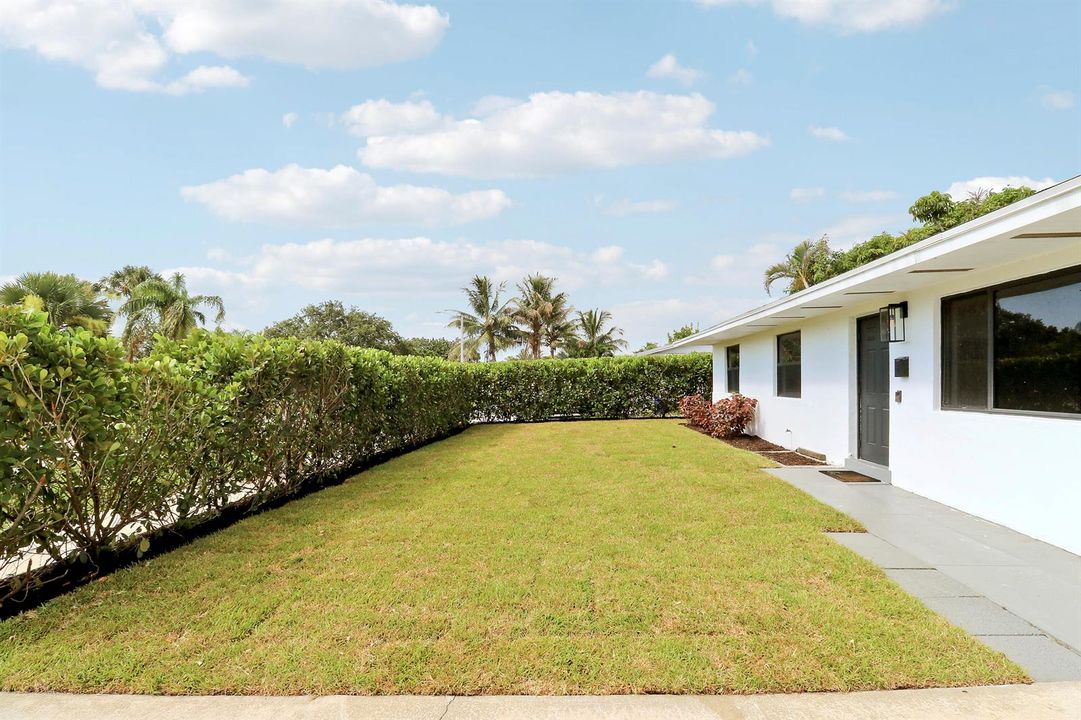 Front Yard