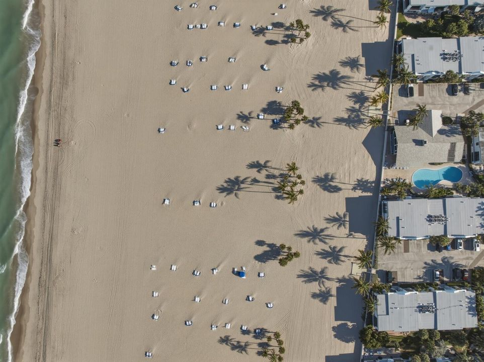 DJI_0589